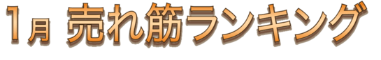 1月 売れ筋ランキング